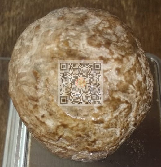 药皇豪猪枣对以下一些病症有很明显的附加药用疗效 :- ✅癌症➖减轻化疗和电疗后的一些副作用，有助于细胞再生。 ✅糖尿病➖控制血糖，可使嚴重惡化的傷口愈合，不用擔心傷口惡化或面臨截肢的後果。 ✅手術後➖缓解开刀后的一般症状如疼痛，高烧和细菌感染。 ✅蚊症➖提升血小板和快速帮助复原。 ✅分娩➖减轻產後疼痛，傷口修復，調理產後虛弱和提升精神體力。 ✅肝病➖清熱解毒和化膿消炎。 ✅保健➖预防胜于治疗，经常熬夜，烟酒过量，高血压的人也相当适宜。 ✅其他➖肺炎，前列腺，流感，甲状腺，细菌感染，尿酸，皮膚病，胃病，惡瘡，免疫力较弱，水瘤，心血管硬化、手足口症，医美整形和各種炎症等。