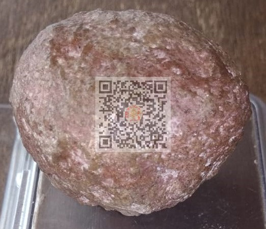 药皇豪猪枣对以下一些病症有很明显的附加药用疗效 :- ✅癌症➖减轻化疗和电疗后的一些副作用，有助于细胞再生。 ✅糖尿病➖控制血糖，可使嚴重惡化的傷口愈合，不用擔心傷口惡化或面臨截肢的後果。 ✅手術後➖缓解开刀后的一般症状如疼痛，高烧和细菌感染。 ✅蚊症➖提升血小板和快速帮助复原。 ✅分娩➖减轻產後疼痛，傷口修復，調理產後虛弱和提升精神體力。 ✅肝病➖清熱解毒和化膿消炎。 ✅保健➖预防胜于治疗，经常熬夜，烟酒过量，高血压的人也相当适宜。 ✅其他➖肺炎，前列腺，流感，甲状腺，细菌感染，尿酸，皮膚病，胃病，惡瘡，免疫力较弱，水瘤，心血管硬化、手足口症，医美整形和各種炎症等。