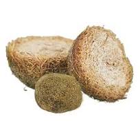 100%纯天然野生药皇豪猪枣有很明显的附加药用功效:✅排毒消炎 ✅提升免疫力 ✅细胞再生 ✅抗氧化 ✅增加血小板‼ 药皇提供豪猪枣/箭猪枣/河猪枣全球发货包括马来西亚，新加坡，澳洲，中国，香港，澳门等。药皇是豪猪枣行业的鼻祖，专注健康产业超过20年，药皇豪猪枣辅助治疗与恢復健康，包括促进肌肉生长、调节免疫系统、调节血糖血压等。适量食用豪猪枣也有助于控制病情，减轻症状。