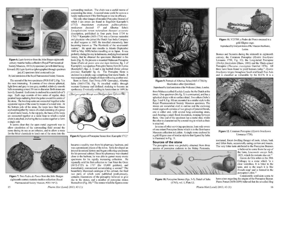 豪猪枣(箭猪枣)能助减少癌症电疗和化疗副作用 ✅舒解糖尿病,加速愈合伤口 ✅有助蚊症病患者提升血小板 ✅提升身体免疫力, 加速复原 ✅预防手术后细菌感染, 镇痛消炎 ✅舒缓肝病, 快速清热解化脓消炎 ✅产前后可减轻疼痛，加速复原 ✅各种炎症，皮肤病，恶疮，胃痛，肿瘤，心血管硬化，祛风，心气痛，女性白带，分娩，保健和红斑狼疮等都有明显的附加药用功效。【100% AUTHENTIC PORCUPINE BEZOAR / PORCUPINE DATES】