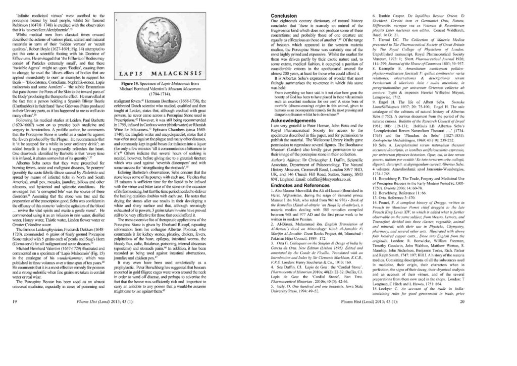 药皇豪猪枣、箭猪枣、河猪枣【自然疗法咨询H/P : +6018-666 1298】