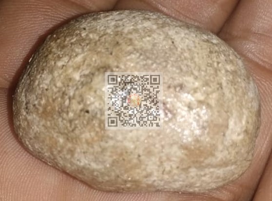 癌症,蚊症, 糖尿病, 手术前后, 肝病,分娩, 高血压,各种炎症,提升免疫系统,清热解毒,消炎止痛,养生保健,修复伤口,电疗,化疗, 细胞再生,血管阻塞,微中凤,红苍狼斑症,败血症