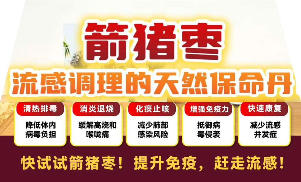 药皇豪猪枣、箭猪枣、河猪枣【自然疗法咨询H/P : +6018-666 1298】